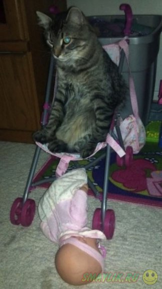 ������ ����� ��� �����