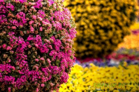 �������� ������ � ��������