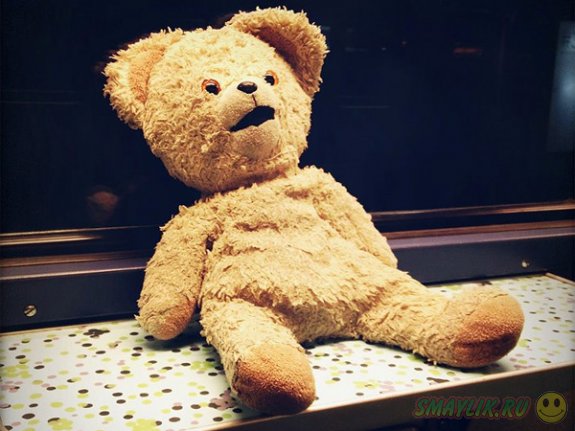 ����������� �������� ����� ������� ����� ��������� ���������� ��������� �������