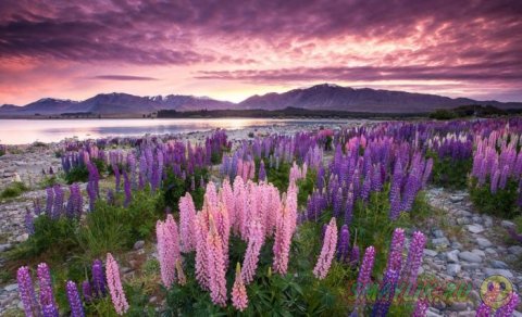 ��������� �������� ������ � ����� ������