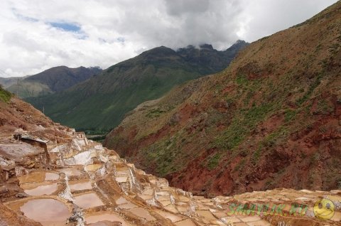 ������� ������� ��������� ������ ����� � ����