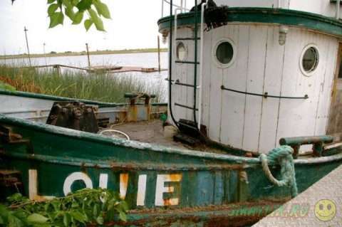 ������, ������� ������� � ���������� ������� � ������������ ����� 