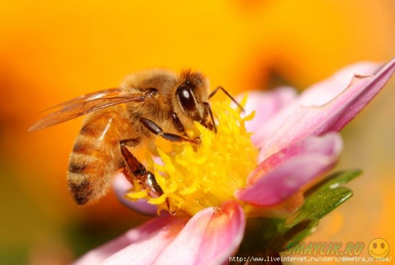 ����������� ���� � ����� ��� ���������� � ���� ���� ���������� ������� ����