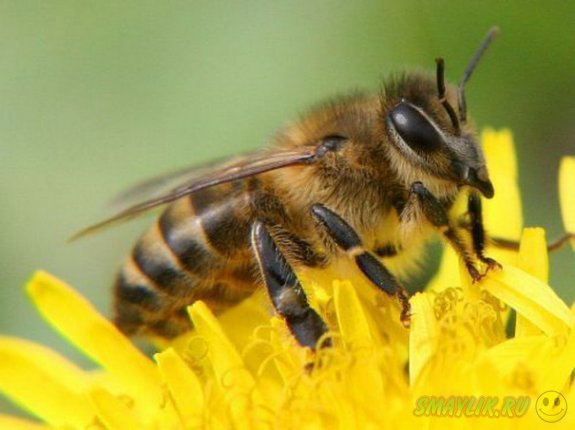 ����������� ���� � ����� ��� ���������� � ���� ���� ���������� ������� ����