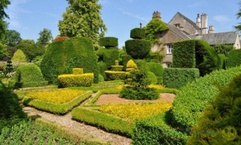 ���������� ���� ������ ����� 