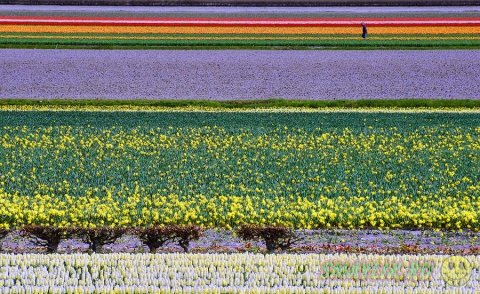 ����� ������ ���������