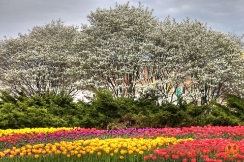 ����� ������ ���������