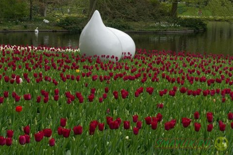 ����� ������ ���������