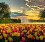 ����� ������ ���������