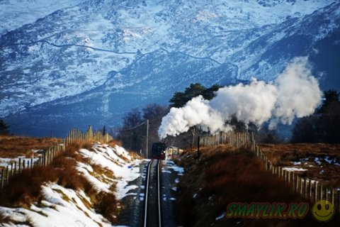 ������ � �������� ������ � ����������� �� Robin and Taliesin Coombes