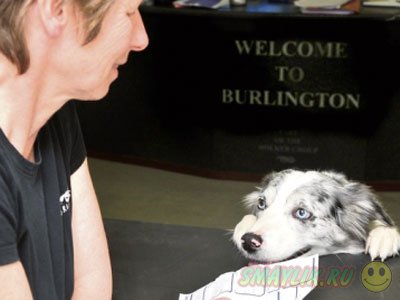 ����� �� ������ ����� � ������� �������� � ��������������� ��������  