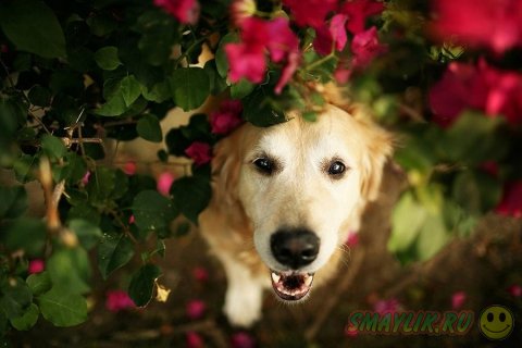 ���������� � ������������ ��� ����