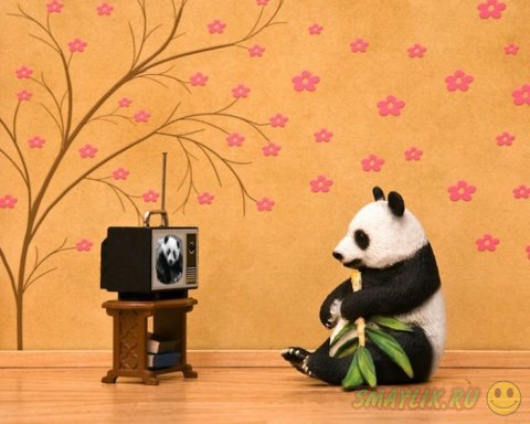 ��������� ����� ����������� �������