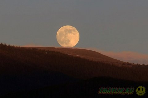 ��������������  ����� ����