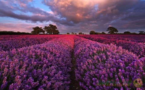 ���������� ���� � ��������