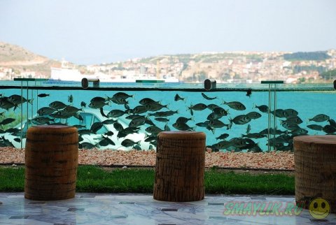 ������ ��������� ������ ����� ��������� ����� ������ ���� 50-�������� ��������