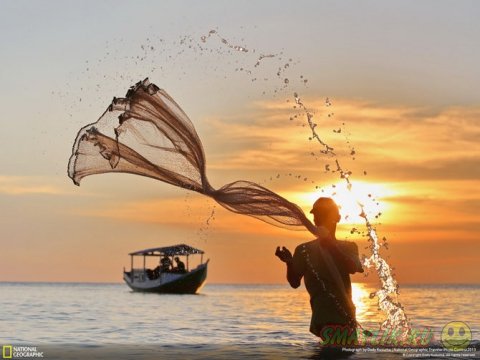 ����������-���������� National Geographic 2013