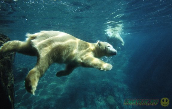 ��������-��������� ����� �����, ��������� ��� �����