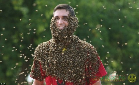 ���������� �������� ����� �� ����� Clovermead Adventure Farm 