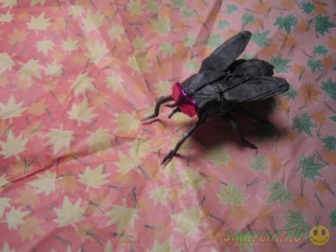 ��������� �������-������ ������� ���� 