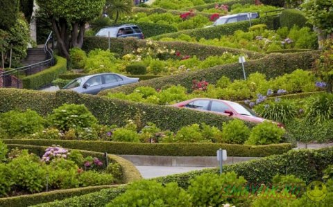 ����� ���� � ������ ��� ������