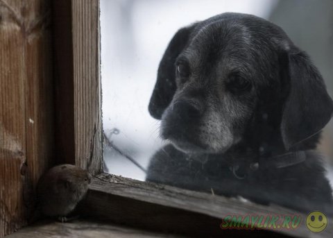 ����� �������� � ����������� ����� � ���������