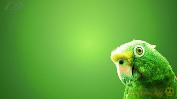 �� ������� ������� �������� ������������ ���������� ����