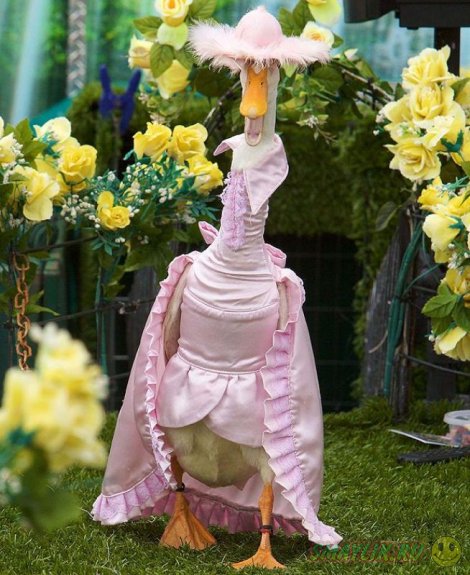 ������ �� ��������� ���� ������ ��� ����