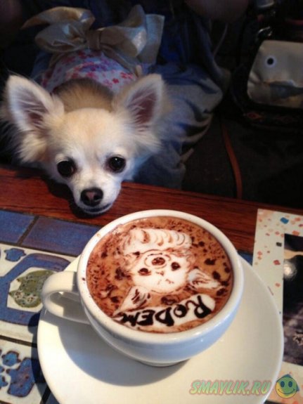 ����� ������ ��������� ��������� 