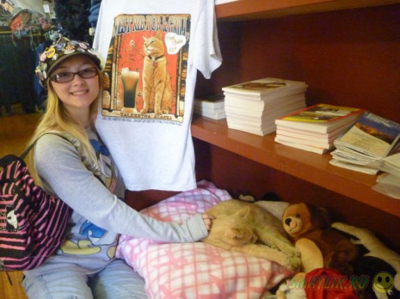 ����� ���-��� ������ ������� �� ������������ �������