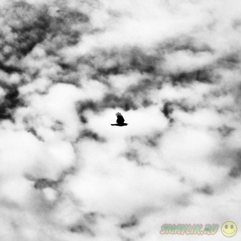 �����-����� ������ �� ����� ����� 