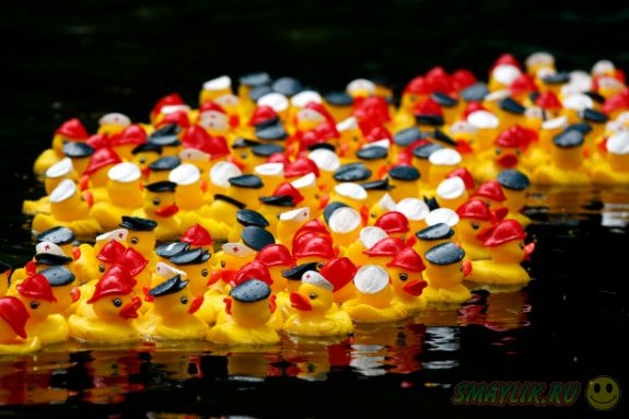 � ���������� ������������ ������������ ��������� ����