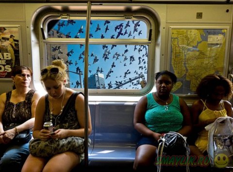 ����� ����� �� ������  ������������� ����������