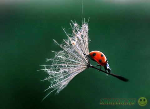 �������� � ��������� ���������� ��������