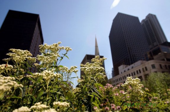 ���� �� ������ �����������