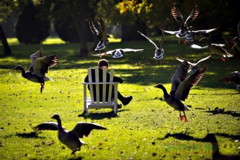 ��� �������� � �����������