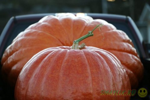 ��������� ���� �� ����������� ���� � ���� ��� ��� 