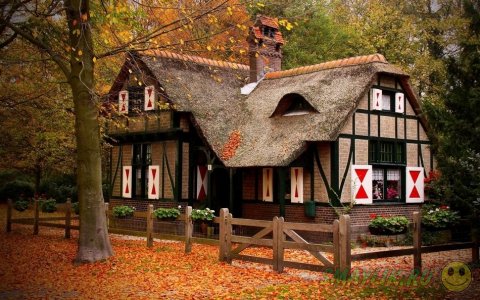 ����� �������� ������ ������