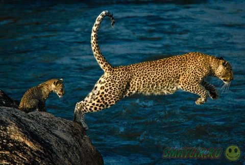 �������� ���������� �������� �� ������