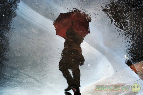 ������� ��������� ��������� 