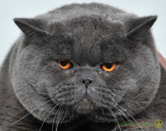 ���������� ������� ������ ���������� ���� �� �������������� �����