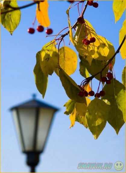 �������� �����