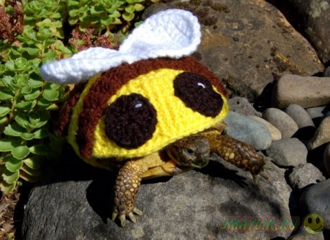 ��������� ������ ��� �������