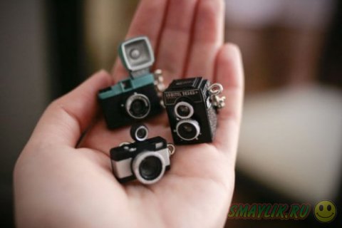 ����� ��������� �������� �� ����� �����