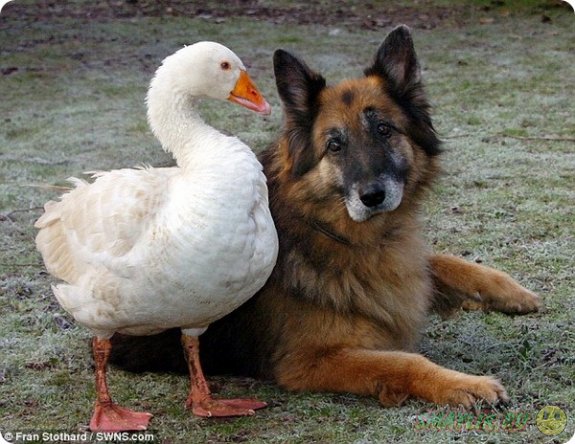 ������ ����������  ������ �� ��������� ��� �� ������ ���� 