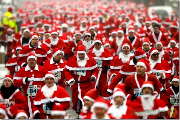 �������� ����� �����-������� �� ������ ������