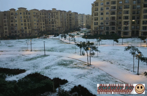 � ������ ������� �� 122 ���� ����� ����  