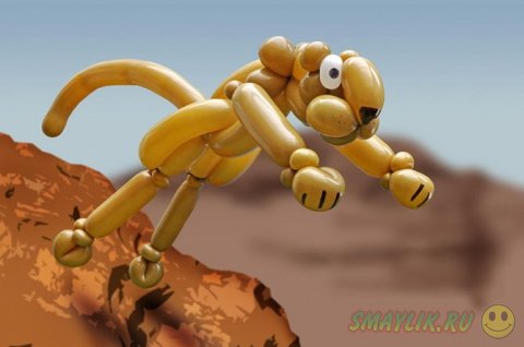 ������������ ������ �� ��������� �����