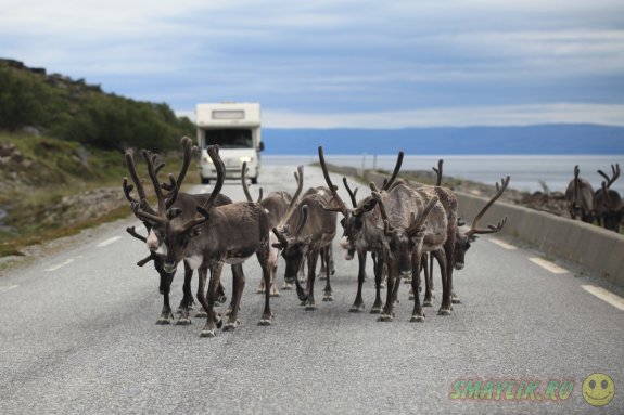 � �������� ������ ������ �� ���� �������