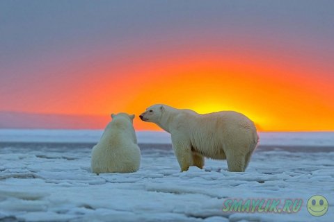 ����� ������� �� ����� ������ �� ������